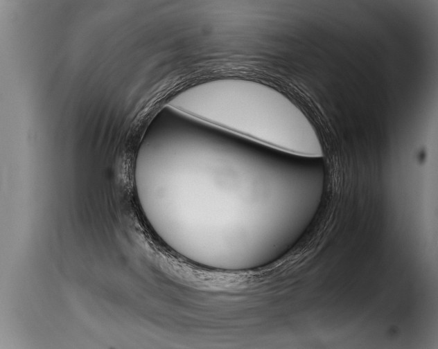 X0000116000044200911191224