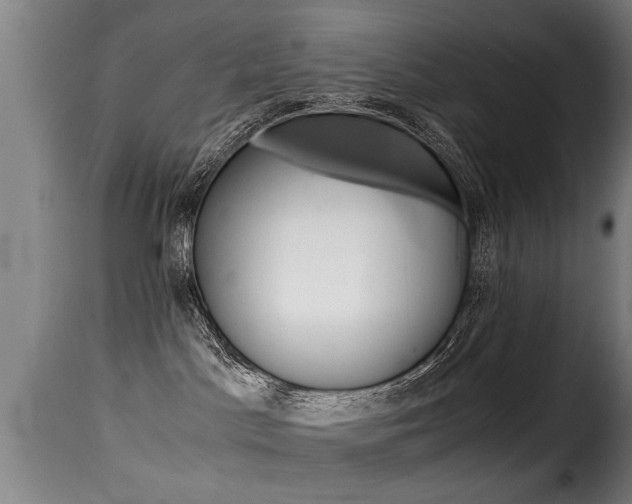 X0000116000045200911191224