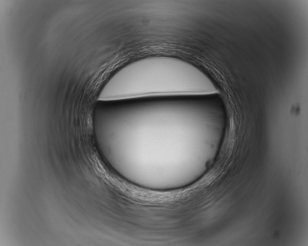 X0000116000048200911191224