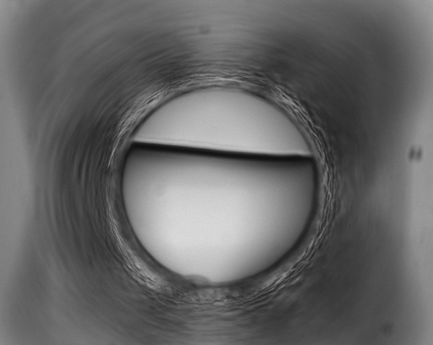 X0000116000049200911191223