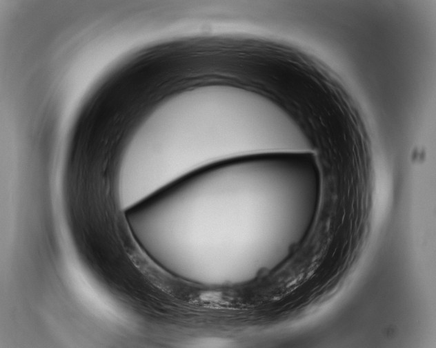 X0000116000050200911191223