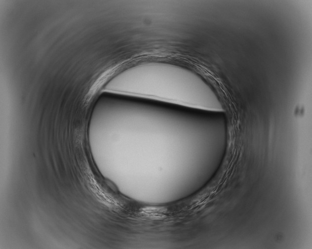 X0000116000051200911191223