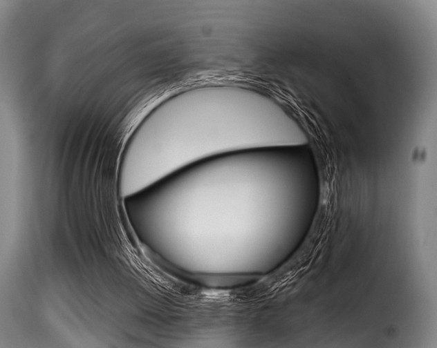 X0000116000052200911191223