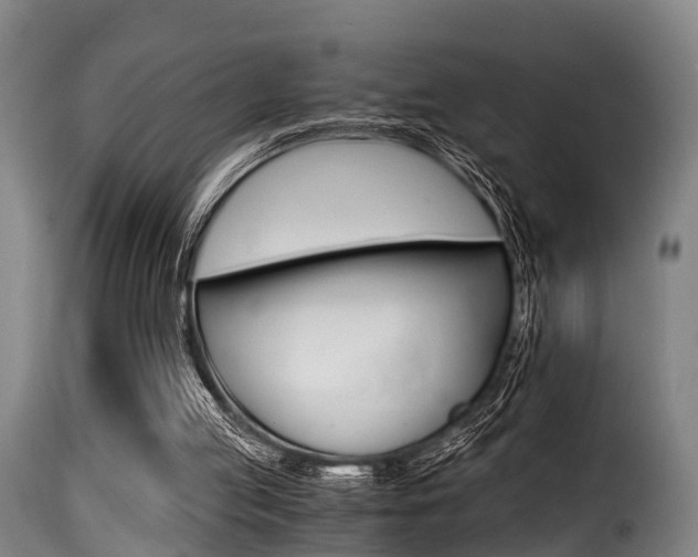 X0000116000053200911191224