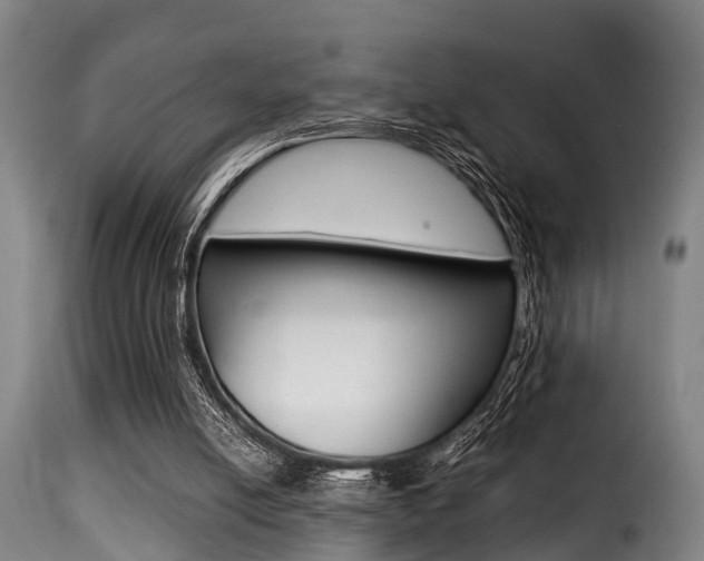 X0000116000054200911191224