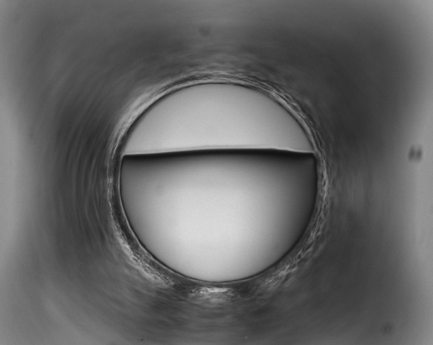 X0000116000055200911191224