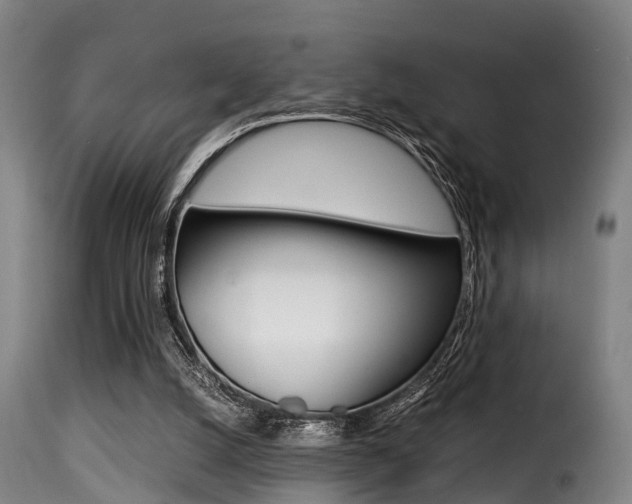 X0000116000056200911191224