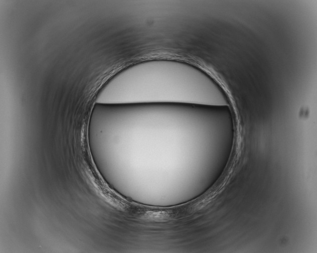 X0000116000057200911191224