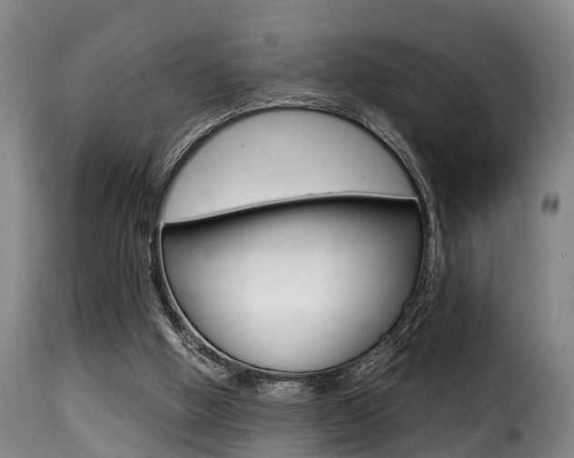 X0000116000058200911191224