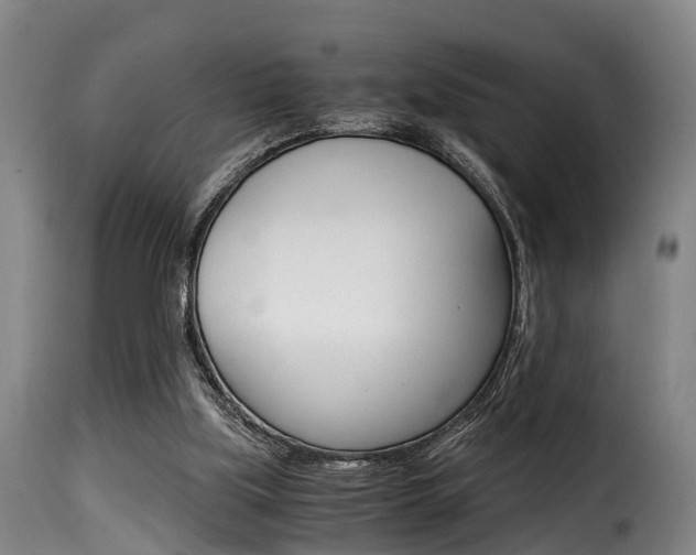 X0000116000059200911191224