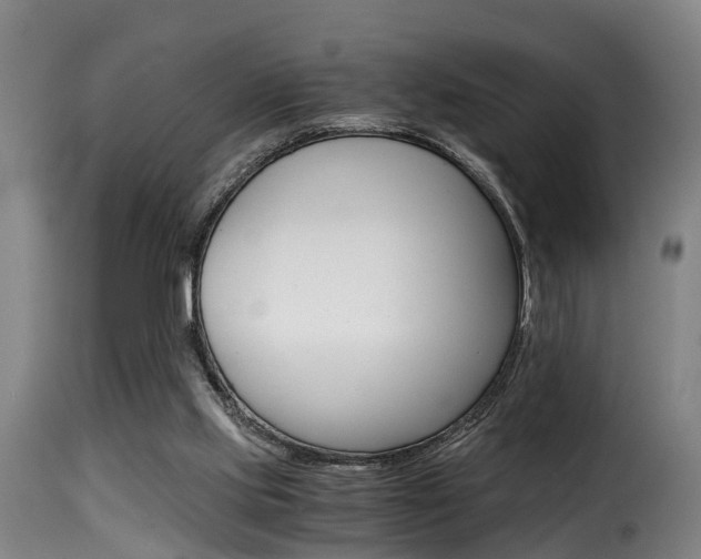 X0000116000061200911191224