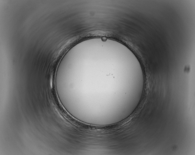 X0000116000062200911191224