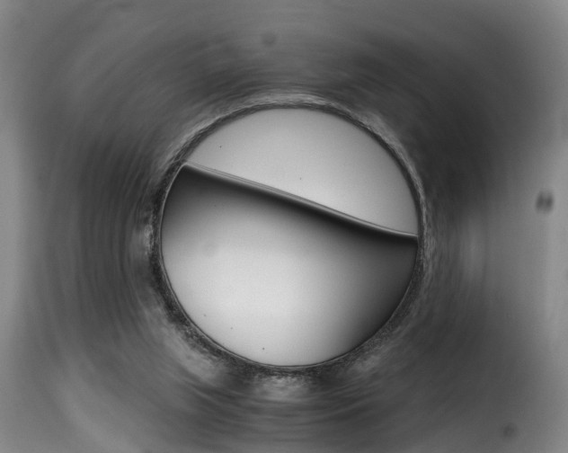 X0000116000063200911191224