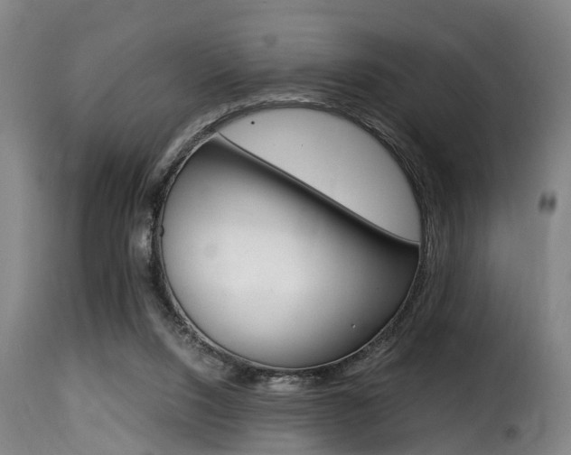 X0000116000064200911191224