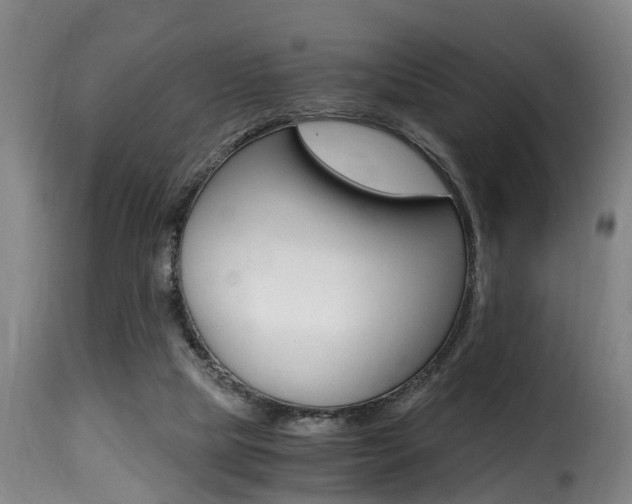 X0000116000065200911191224