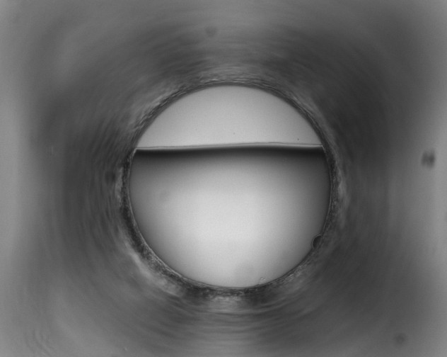 X0000116000066200911191224