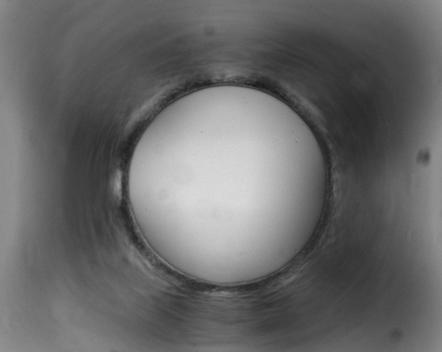 X0000116000067200911191224