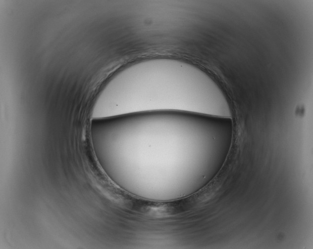 X0000116000068200911191224