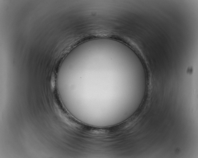 X0000116000069200911191224