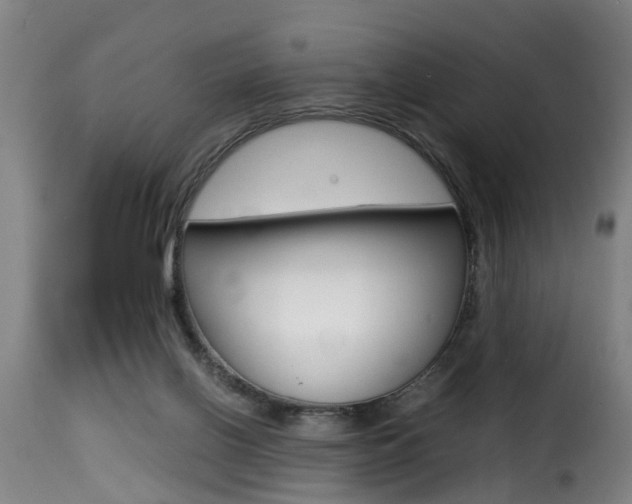 X0000116000070200911191224