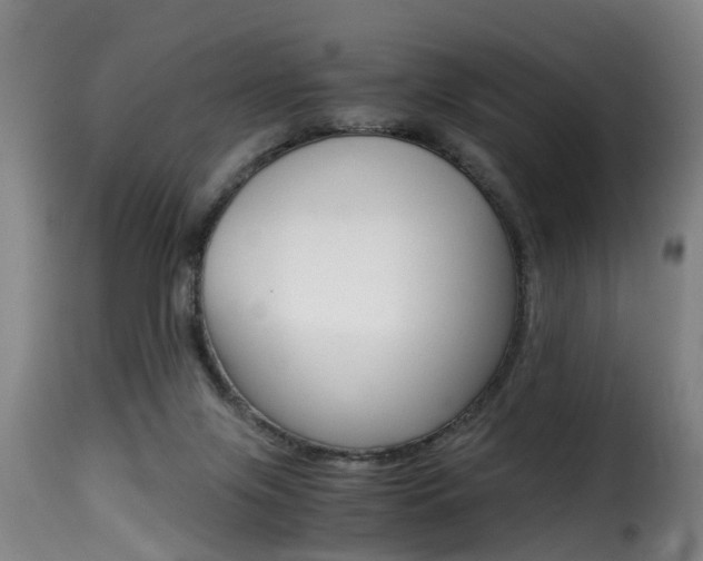 X0000116000071200911191224