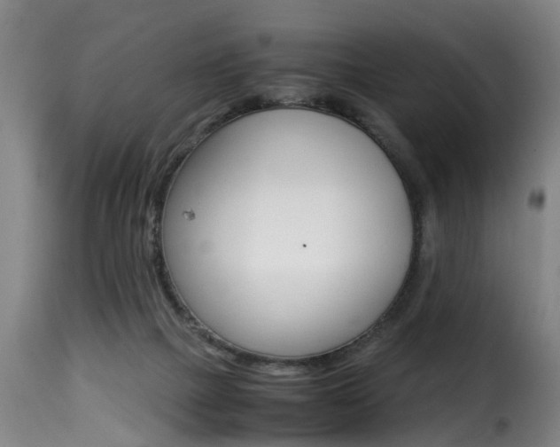 X0000116000073200911191224