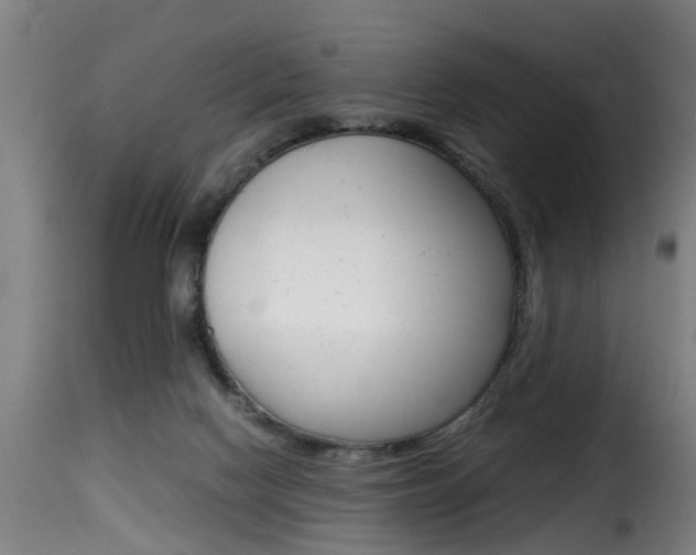 X0000116000074200911191224