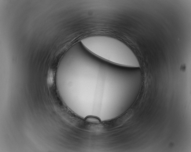 X0000116000075200911191224