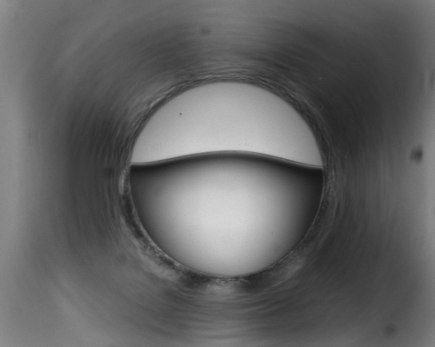 X0000116000076200911191224