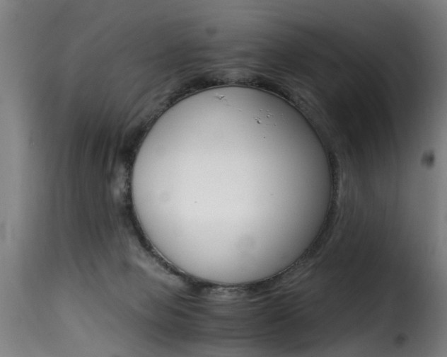 X0000116000077200911191224