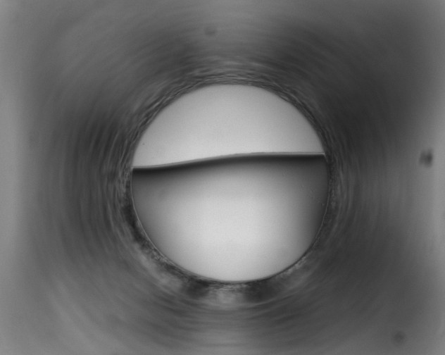 X0000116000078200911191224