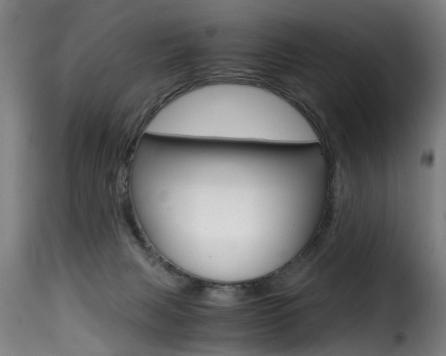 X0000116000079200911191224