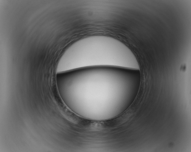 X0000116000080200911191224