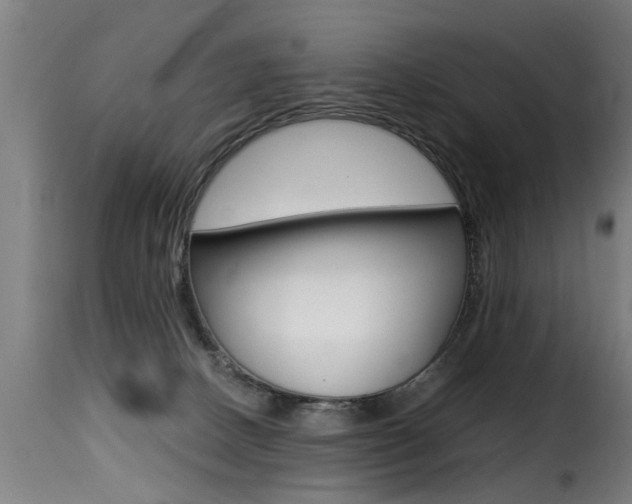 X0000116000082200911191224