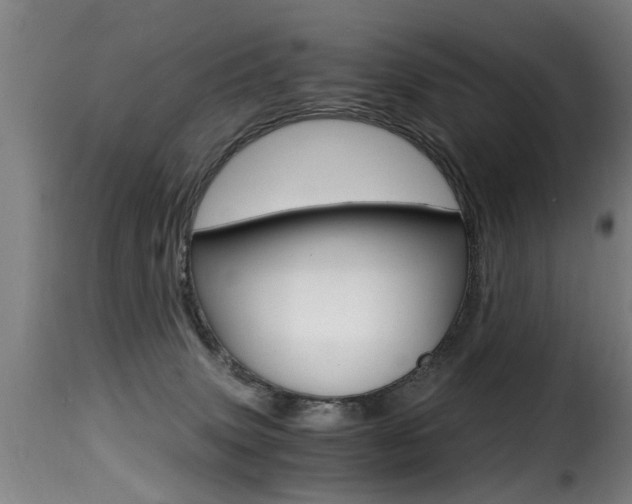 X0000116000083200911191224