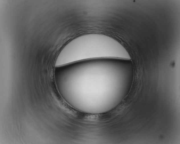 X0000116000084200911191224