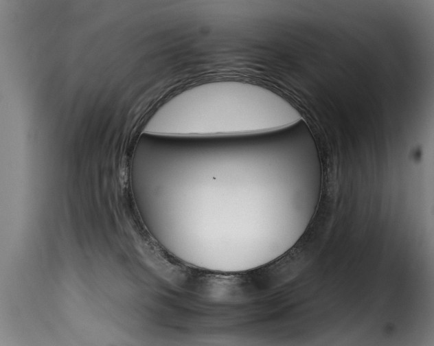 X0000116000085200911191224