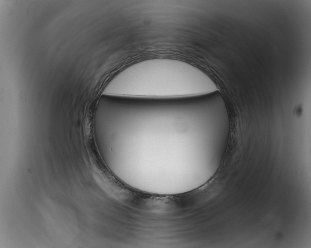 X0000116000086200911191224