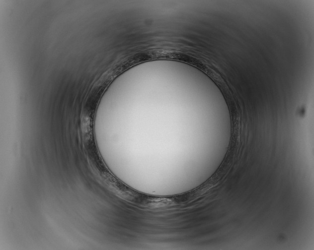 X0000116000087200911191224