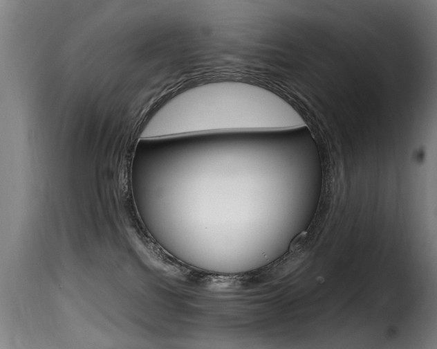 X0000116000088200911191224