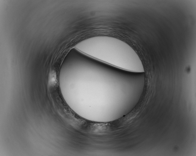 X0000116000089200911191224