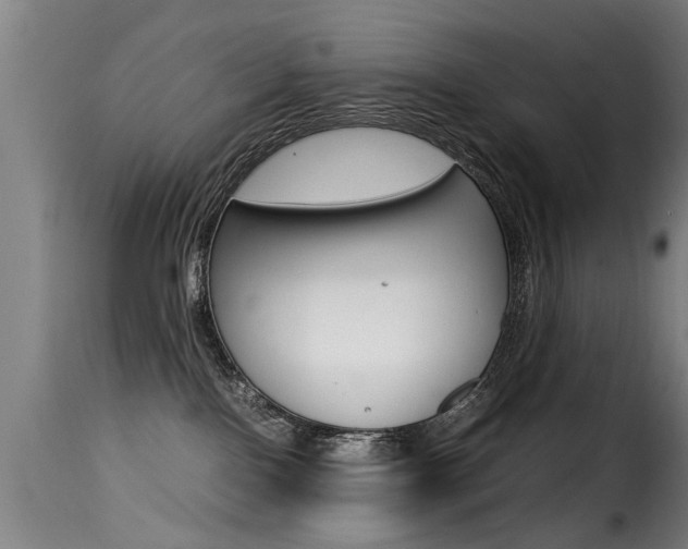 X0000116000090200911191224