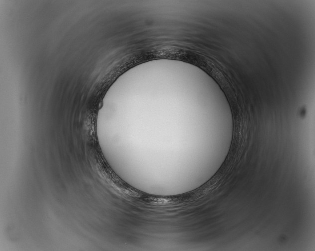 X0000116000091200911191224