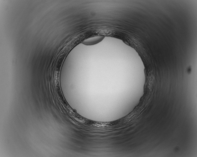 X0000116000093200911191224