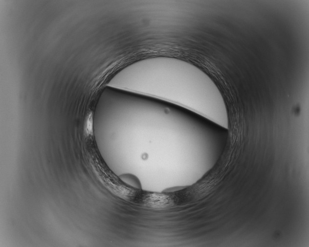 X0000116000095200911191224