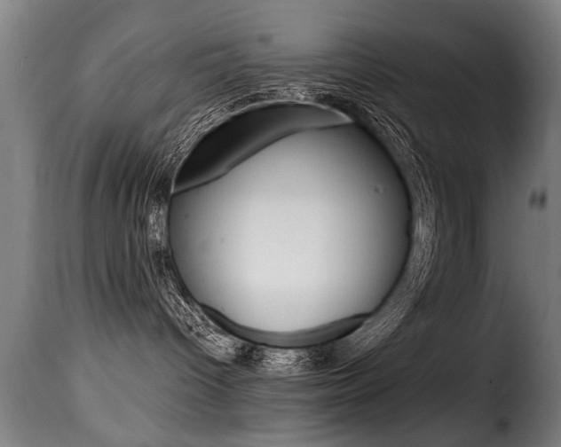 X0000116000096200911191224