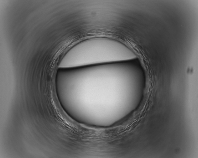 X0000116000097200911191223