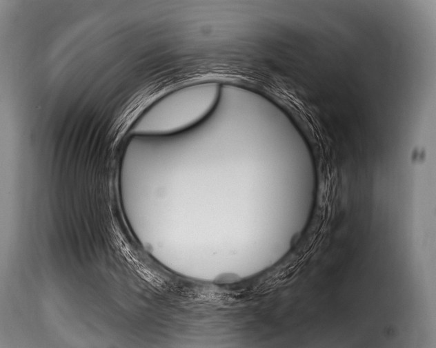 X0000116000098200911191223