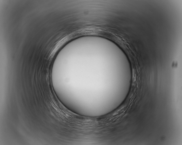 X0000116000099200911191223