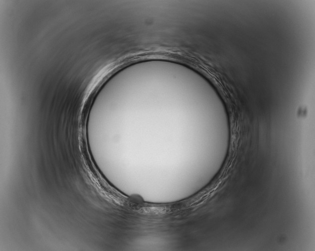 X0000116000102200911191223